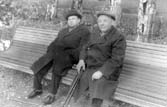 rodstvenniki_21